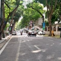 Bán Nhanh Nhà Mặt Phố Trần Nhật Duật, Diện Tích 79M2, 4 Tầng, Mặt Tiền 5,5M, Sđcc
