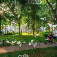Eco Retreat , 1 Khởi Đầu , Vạn Niềm Vui . Cơ Hội Vàng Trong Chu Kì Phục Hồi Mới .