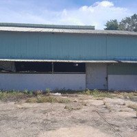 Chính Chủ Cần Bán Nhà Xưởng Mặt Tiềndiện Tíchlớn 12550M2 Quốc Lộ 62, Huyện Thủ Thừa, Tỉnh Long An