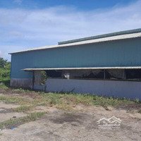 Chính Chủ Cần Bán Nhà Xưởng Mặt Tiềndiện Tíchlớn 12550M2 Quốc Lộ 62, Huyện Thủ Thừa, Tỉnh Long An