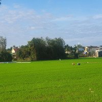 Bán Đất Khu Phố Chợ Vĩnh Điện, Vị Trí Đẹp