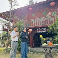Bán Khu Nghỉ Dưỡng Chính Chủ Diện Tích 1362M2 Tại Minh Phú Sóc Sơn Giá Rẻ Nhất Liên Hệ: 0981288566