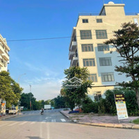 Bán Nhanh Lô Đất Kinh Doanh Trục Chính Long Phương Từ Sơn Xây Dựng Tự Do Cạnh Cột Đồng Hồ