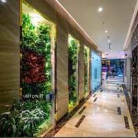 Dòng Tiền 24 Tỷ/Năm - Tòa Nhà Chdv Lê Văn Sỹ - 200 Phòng -Diện Tích4.500M2 - Hầm - 8 Tầng - Giá Bán 130 Tỷ
