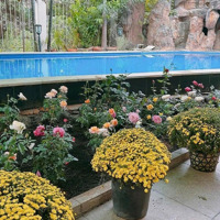 Cho Thuê Biệt Thự Compound Đường Xuân Thủy Phường Thảo Điền Q. 2 - Nhà 4 Tầng 600M2 Hồ Bơi Sân Vườn