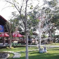 Biệt Thự Tiamo Phú Thịnh Thủ Dầu Một, 15X25M, Hoàn Công Giá Tốt