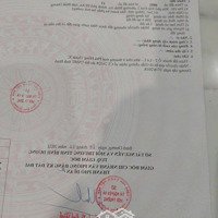 Tổng Hợp Giá Bán Đất Nền Phú Hồng Thịnh 10. Tháng 2/2025