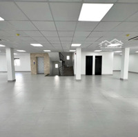 Bán Nhà Mặt Phố 487 Phạm Văn Bạch, Quận Tân Bình, Gần Sân Bay Tân Sơn Nhất ( 13X26M = 320M ) Hầm 7L