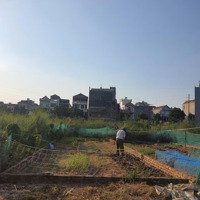 Bán Nhanh Đất Dịch Vụ Di Trạch, Hoài Đức. Diện Tích 78,9M2, Giá Bán 10,5 Tỷ. Liên Hệ: 0966761190