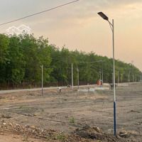 Đất Bàu Bàng, Đường Hồ Chí Minh, Quy Hoạch Mở Rộng Siêu Đẹp