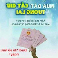 Chính Chủ Cần Bán Gấp Lô Đất Cách Tt Gò Dầu 5P Din Chuyển