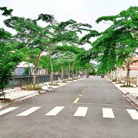 10 Lô Duy Nhất Lúa Non Nằm Trong Rổ Hàng Vip