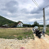 Mở Bán 22 Lô Đất Full Thổ Cư Ninh Tân Ninh Hoà, Chỉ 295 Triệu/ Lô
