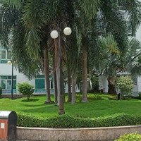Chính Chủ Cho Thuê Căn Hộ Hoàng Anh Gold House, Full Ntcc. Giá 10 Triệu/Th