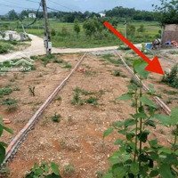 Bán Đất Gần Khu Công Nghiệp Tam Dương Giá Đầu Tư