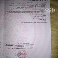 Bán Đất Gần Khu Công Nghiệp Tam Dương Giá Đầu Tư