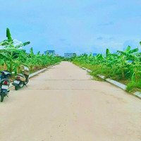 Bán Đất Tại Xã Long Hưng, Văn Giang, Hưng Yên, Giá Bán 5,8 Tỷ, Diện Tích 81,9M2