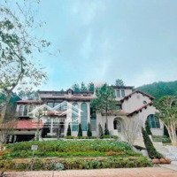 Biệt Thự Đẳng Cấp, Đại Lải, Vận Hành Intercontinental, Sổ Lâu Dài, Full Tiện Ích, Gần Flamingo