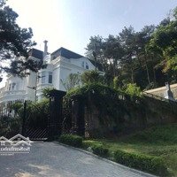 Biệt Thự Đẳng Cấp, Đại Lải, Vận Hành Intercontinental, Sổ Lâu Dài, Full Tiện Ích, Gần Flamingo