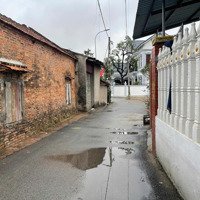Đất Thị Trấn Gia Bình Giá Rẻ - Gần Sân Bay Gia Bình, Bắc Ninh 0986287189