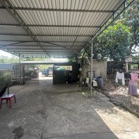 Gia Đình Cần Bán Trả Nợ 1000M2 Đấtmặt Tiềnquốc Lộ 1A Dầu Giây, Đồng Nai