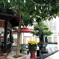 Khủng! Biệt Thự Vipmặt Tiềndương Đình Nghệ 200M Ra Biển, 648 M2 Ngang 24M. Giá Bán 125 Tỷ