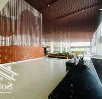 Chủ Đầu Tư Dự Án Goldora Plaza Mở Bán Căn Hộ Penthouse Đặc Biệt , Hàng Ngoại Giao , 150M2