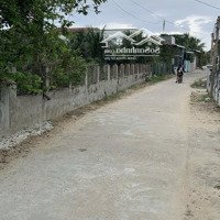 Bán Gấp Đất Nền 266M2 Tại Ninh Phước, Ninh Hòa, Khánh Hòa, 900 Triệu