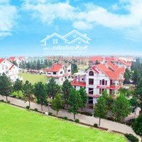 Chủ Nhà Cần Bán Gấp Lô 400M Đẹp Nhất Dự Án,Đồi 2,Đường To,Giá Quá Rẻ Dành Cho Quý Khách Hàng
