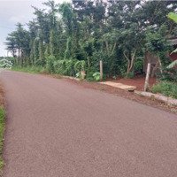 Bán Gấp Đất Nền Cà Xo, Sơn Bình, Châu Đức, Bà Rịa Vũng Tàu, 2,995 Tỷ, 2924 M2