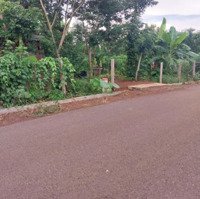 Bán Gấp Đất Nền Cà Xo, Sơn Bình, Châu Đức, Bà Rịa Vũng Tàu, 2,995 Tỷ, 2924 M2