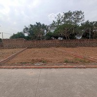 Bán Nhanh 60M2 Full Thổ Cư Tại Minh Phú - Oto Vào Tận Đất - Dưới 1 Tỷ