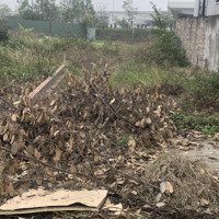 Bấn 85M2 Full Thổ Cư Tại Lạc Nông. Mai Đình. Sóc Sơn. Hà Nội
