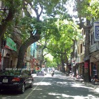 Lý Nam Đế - Khu Vip An Ninh Tuyệt Đối, Đẳng Cấp Giới Tinh Hoa - Chủ Tặng Full Nội Thất