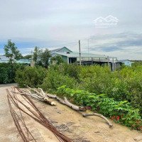 Cần Bán Lô Đất Giá Rẻ Long Thọ Cấn Mặt Tiền Dự Phóng Tương Lai Mặt Tiền X10