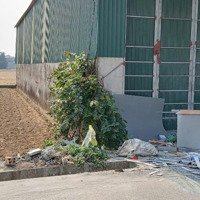 Bán Đất Tại Đường 4A, Quảng Hải, Quảng Xương, Thanh Hóa, 10 Triệu, 150M2 Giá Siêu Hời