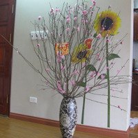 Cho Thuê Tt Tầng 6 Đã Sửa Đẹp, Sáng, Mát