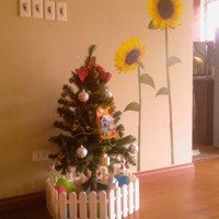 Cho Thuê Tt Tầng 6 Đã Sửa Đẹp, Sáng, Mát