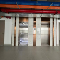 Cho Thuê Tòa Nhà 15 Tầng+2 Bán Hâmf Tại Thống Nhất, 650 Triệu, 450M2, Hàng Hiếm Giá Tốt