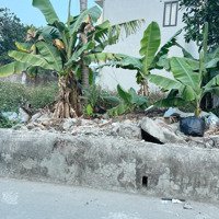 Chính Chủ Cần Bán Lô Đất 46M2 Tam Hưng, Thanh Oai, Hn Mặt Tiền 4,5M Ô Tô Đỗ Cửa Giá Đầu Tư