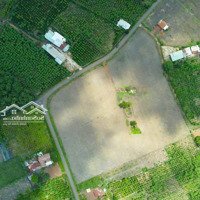Bán Đất Quốc Lộ 13, 320 Triệu, 250M2, Siêu Hot Tại Tân Tiến, Bù Đốp, Bình Phước