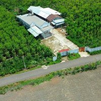 Bán Đất Quốc Lộ 13, 320 Triệu, 250M2, Siêu Hot Tại Tân Tiến, Bù Đốp, Bình Phước