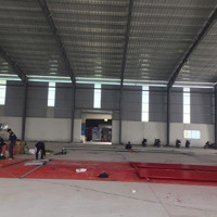 Cho Thuê Xường Mới Mỹ Hạnh Bắcdiện Tích4700M