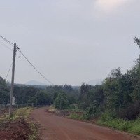 Bán Đất Phú Mỹ, 1. 3 Triệu/M2 , 13829 M2, Giá Ưu Đãi Tại Phú Mỹ, Bà Rịa Vũng Tàu