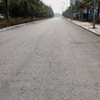 Bán Đất Mặt Phố Tại Trần Nhân Tông, 42 Triệu, 100M2, View Đẹp, Chính Chủ
