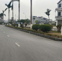 Cần Tiền Bán Đất Giá Tốt Đầu Cầu Môi, Xã An Vũ, Quỳnh Phụ, Thái Bình,Diện Tích260M2, Giá 44, 5 Triệu/M2