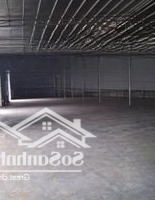 Cho Thuê 620M2 Tại Tân Phong Thụy Phương Bắc Từ Liêm Hà Nội