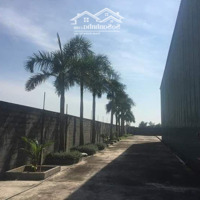 Cho Thuê Xưởngdiện Tích4800M2 Đức Hòa Long An, Giá Rẻ