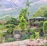 Bán Cắt Lỗ! Căn Nhà Vườn 2 Mặt Tiền Có Suối Ở Giữa Ven Nha Trang Giá Chỉ 1,3 Triệu/M2