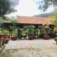 Bán Cắt Lỗ! Căn Nhà Vườn 2 Mặt Tiền Có Suối Ở Giữa Ven Nha Trang Giá Chỉ 1,3 Triệu/M2